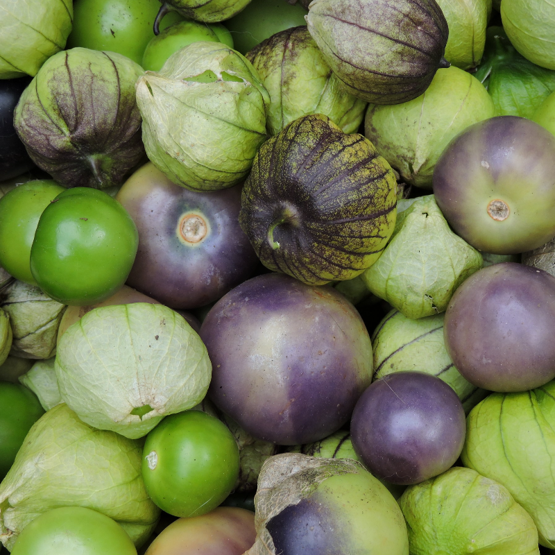 Tomatillo Main Image